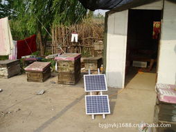 北京光聚能源科技 引領(lǐng)太陽能發(fā)電技術(shù)服務(wù)的創(chuàng)新實(shí)踐